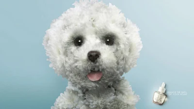 Aromatizante de hogar: perro de pelo esponjado, «Change the smell of your home»
